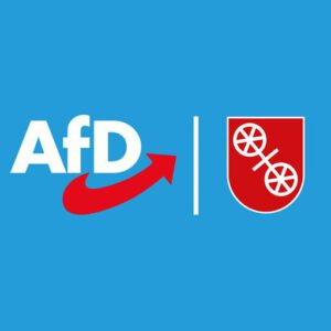 AfD-Stadtrat Mainz